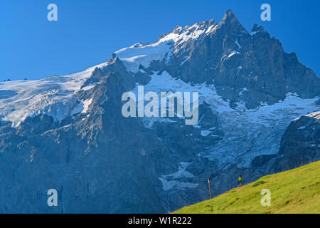 Donna escursioni a piedi nella parte anteriore della Meije nella regione di Ecrins, Plateau d' Emparis, Parco Nazionale degli Ecrins, Dauphine, Dauphiné, Hautes Alpes, Francia Foto Stock