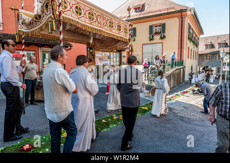 Il Corpus Domini, la festa della processione del Corpus Domini, fiori, Sipplingen, Lago di Costanza, Baden-Wuerttemberg, Germania, Europa Foto Stock