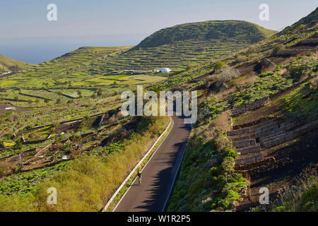 Vista in campi e fincas lungo la strada PR-LZ 16 vicino a Lanzarote, Lanzarote, Isole Canarie, Islas Canarias, Spagna, Europa Foto Stock