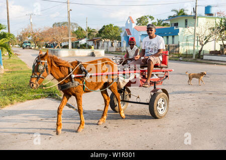 Svuotare la strada attraverso la campagna cubana da Vinales a Puerto Esperanza, carrozza trainata da cavalli, cavallo carrello, famiglia viaggi a Cuba, congedo parentale, ho Foto Stock