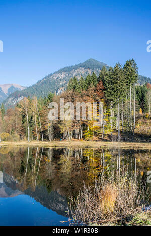 Moor lago con acqua la riflessione in autunno, Alpi Nebelhorn, Allgaeu, Oberallgaeu, Oberstdorf, Germania Foto Stock