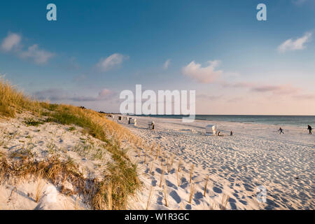 Tramonto sulla spiaggia, Vitte, Hiddensee isola, Meclemburgo-Pomerania Occidentale, Germania Foto Stock