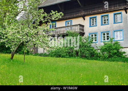 Casa Tradizionale della Foresta Nera, Bernau-Dorf, Albsteig, Foresta Nera, Baden-Wuerttemberg, Germania Foto Stock