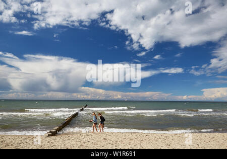 Spiaggia lungo la costa del Mar Baltico, Meclenburgo-Pomerania Occidentale, Germania Foto Stock