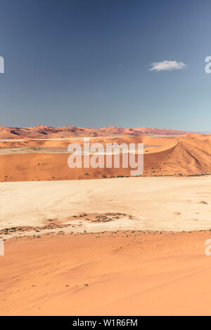 Deadvlei, una coppa di argilla con acacia scheletri fino a 500 anni, Sossusvlei, Namib Naukluft National Park, Hardap, Namibia, Africa. Foto Stock