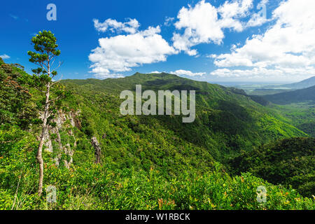 Vista panoramica del Black River Gorges National Park, Gole Viewpoint in Mauritius. Foto Stock