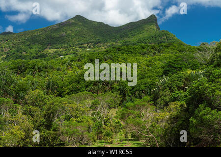 Vista panoramica del Black River Gorges National Park, Gole Viewpoint in Mauritius. Foto Stock