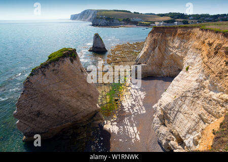 Mermaid, Stag, roccia, Pleistocene, rotaie, ripida, immersione, strati, mare, pile, onda, taglio, piattaforma, gesso, spiaggia, Freshwater Bay, Isola di Wight, Inghilterra, Regno Unito, geologia Foto Stock