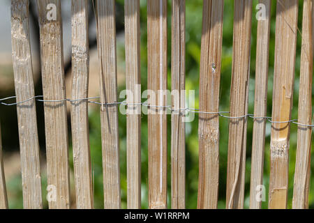 Il recinto di canne di bambù fissata con del filo metallico Foto Stock