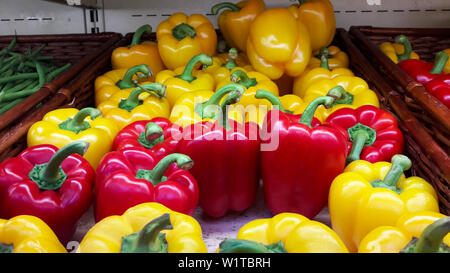 Sullo sfondo il peperone rosso e giallo pepe. Fresche e mature peperoni rossi e gialli. vista dritto. La mietitura. pepe vendita Foto Stock