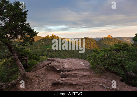 Vista Scharfenberg, Anebos e castello di Trifels, vicino Annweiler, Foresta del Palatinato, Renania-Palatinato, Germania Foto Stock