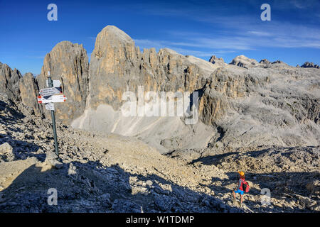 Woman Hiking, la Pala di San Martino e Pala altopiano in background, la Cima Fradusta, Val Canali, Pala Gruppo, Dolomiti, Patrimonio Mondiale dell Unesco Dolo Foto Stock