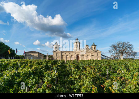 Cos d Estournel, vigneti nel Medoc, Bordeaux, Gironde, Aquitania, in Francia, in Europa Foto Stock