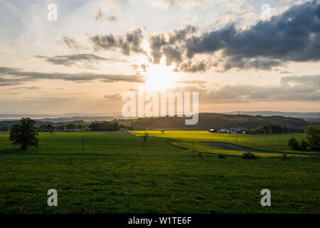 Vista da Gehrenberg al tramonto, Markdorf, Lago di Costanza, Baden-Württemberg, Germania Foto Stock