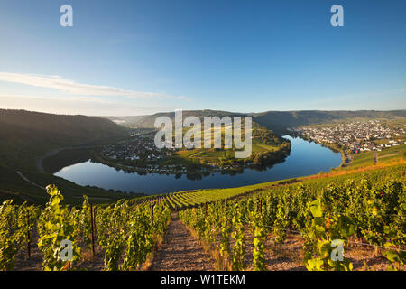 Sul fiume Mosella piegare vicino Kroev Mosel, Renania-Palatinato, Germania Foto Stock