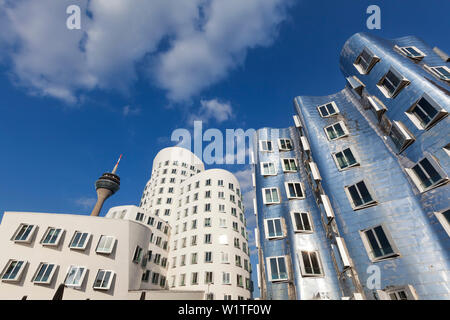 Televison tower e Neuer Zollhof (architetto: F.O. Gehry), Medienhafen, Duesseldorf, nella Renania settentrionale-Vestfalia, Germania Foto Stock