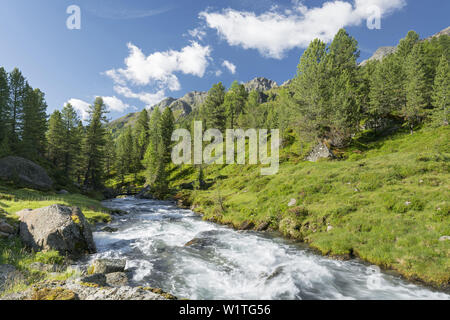 Debantbach, Debanttal, Parco Nazionale Hohe Tauern, Tirolo orientale, Tirolo, Austria Foto Stock