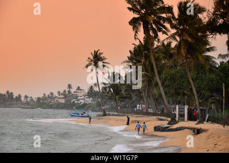 Spiaggia in Aluthgama vicino Beruwela, la Westcoast, Sri Lanka Foto Stock