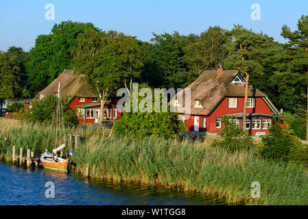 Prerow, al porto Boddenseite, Ostseeküste, Meclemburgo-Pomerania Germania Foto Stock