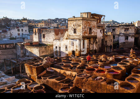 Concia delle pelli in conceria Chouara in Fes, Marocco, Africa Foto Stock