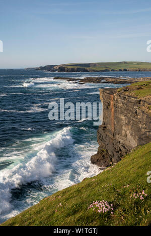 Il Cliff Walk in Kilkee si estende dalla baia a nord e a sud lungo la costa e mostra La ruvida bellezza del paesaggio dove il mare crash Foto Stock