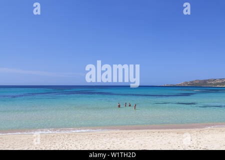 Acqua cristallina sulla spiaggia di Tizzano, Sud Corsica, Corsica, Francia meridionale, Francia, Europa meridionale, Europa Foto Stock