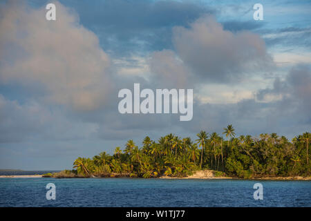 Nel tardo pomeriggio sole splende su una coperta di palme isola sotto leggermente offuscato cieli, Likiep Atoll, Ratak Catena, Isole Marshall, Sud Pacifico Foto Stock