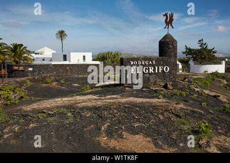 Bodegas El Grifo nella zona viticola vicino Masdache, Lanzarote, Isole Canarie, Islas Canarias, Spagna, Europa Foto Stock