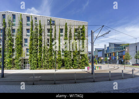 Green Hotel Vauban, Solarsiedlung, Freiburg, Baden-Wuerttemberg, Schwarzwald, foresta nera, Germania Foto Stock