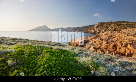 Atmosfera serale a Capu rossu, d'Arone, Corsica, Francia Foto Stock