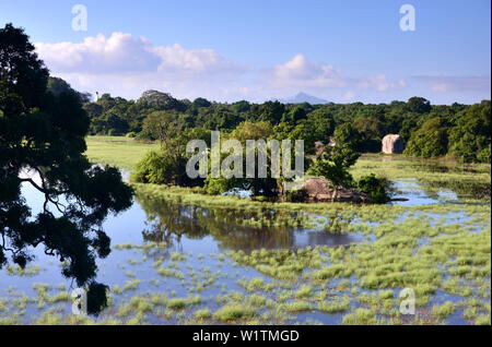 Il paesaggio è sotto la Roccia di Sigiriya, Sigiriya, Sri Lanka Foto Stock