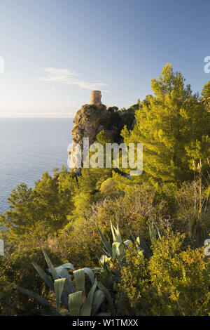 Torre del Verger, Maiorca, isole Baleari, Spagna Foto Stock