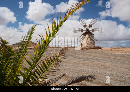 Il mulino a vento, Tefia, Puerto del Rosario, Fuerteventura, Spagna, Europa Foto Stock