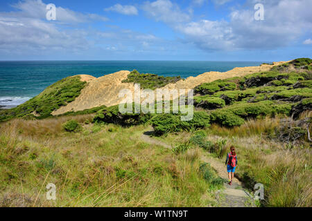 Donna escursionismo su Waimamaku via costiera verso il litorale costiero Waimamaku via, regione di Northland, Isola del nord, Nuova Zelanda Foto Stock