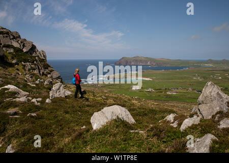 Escursionista sul sentiero roccioso con campi di verde che si affaccia sulla costa soleggiata visto da mentre si cammina per la strada di Dingle, penisola di Dingle, nella contea di Kerry, Irlanda, UE Foto Stock