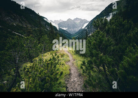 Sentiero di montagna direzione Memminger Hütte, E5, Alpenüberquerung, seconda fase, Lechtal, Kemptner Hütte a Memminger Hütte, Tirolo, Austria, Alpi Foto Stock