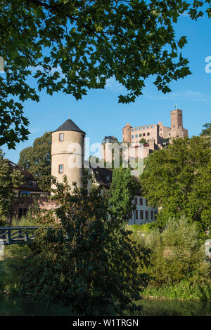 Parklands lungo il fiume Tauber con vista di Burg Wertheim castello, Wertheim, Spessart-Mainland, Franconia, Baden-Wuerttemberg, Germania Foto Stock