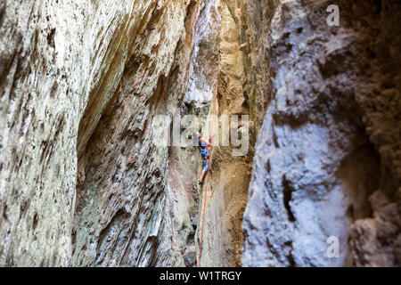 Scalatore femmina di arrampicata in una caverna della roccia, calcare, arrampicata su roccia eldorado Vinales, famiglia viaggi a Cuba, congedo parentale, vacanze, time-out, ADV Foto Stock