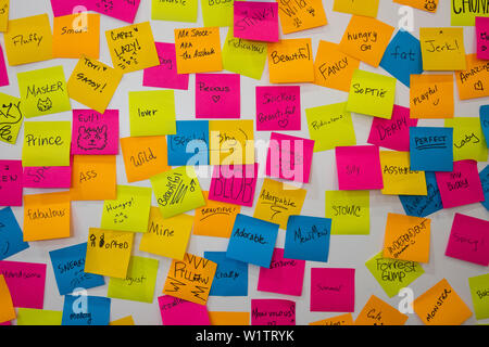 Le descrizioni dei gatti da parte dei partecipanti della Convenzione CatCon a Pasadena Convention Center, Pasadena, California, Stati Uniti d'America Foto Stock