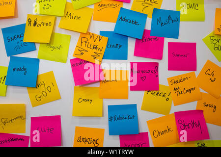 Le descrizioni dei gatti da parte dei partecipanti della Convenzione CatCon a Pasadena Convention Center, Pasadena, California, Stati Uniti d'America Foto Stock