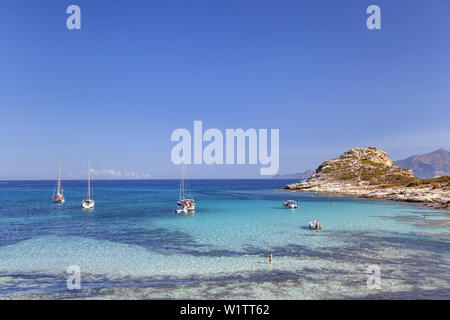 Spiaggia Plage de Loto nel deserto dello Agriates, vicino a Saint-Florent, Corsica, Francia meridionale, Francia, Europa meridionale Foto Stock