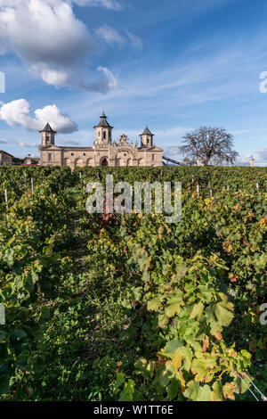 Cos d Estournel, vigneti nel Medoc, Bordeaux, Gironde, Aquitania, in Francia, in Europa Foto Stock