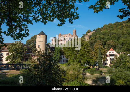 Parklands lungo il fiume Tauber con vista di Burg Wertheim castello, Wertheim, Spessart-Mainland, Franconia, Baden-Wuerttemberg, Germania Foto Stock