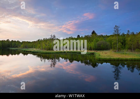 Stagno in riserva naturale Rotes Moor, Rhoen, Hesse, Germania Foto Stock