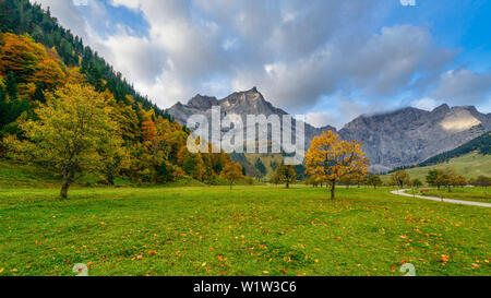 Acero in autunno di fronte montagne Karwendel, regione Ahornboden, Tirolo, Austria Foto Stock