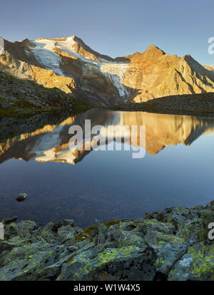 Wilder Freiger, grünau, Alpi dello Stubai, Tirolo, Austria Foto Stock