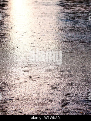 Gocce di pioggia sulla superficie di acqua in una pozzanghera. Giorno di pioggia. Foto Stock
