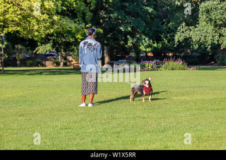 Northampton, Regno Unito. 4 Luglio, 2019. Meteo. Abington Park. Un cane femmina walker fuori a godersi la fresca aria del mattino nel parco prima che il calore del giorno, . Credito: Keith J Smith./Alamy Live News Foto Stock