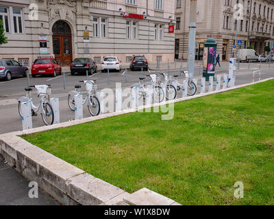 Gyor Ungheria / - 05 07 2019: il divisore di bicicletta in Gyor è cresciuta. Foto Stock