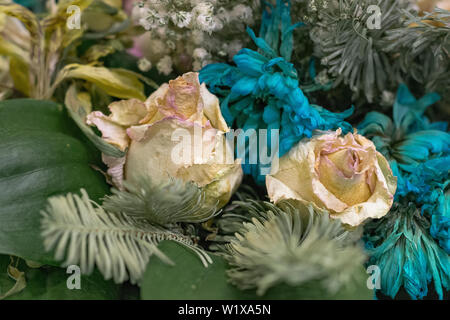 Fiori sbiaditi vicino. Bouquet di rose rosa e turchese crisantemi. Foto Stock